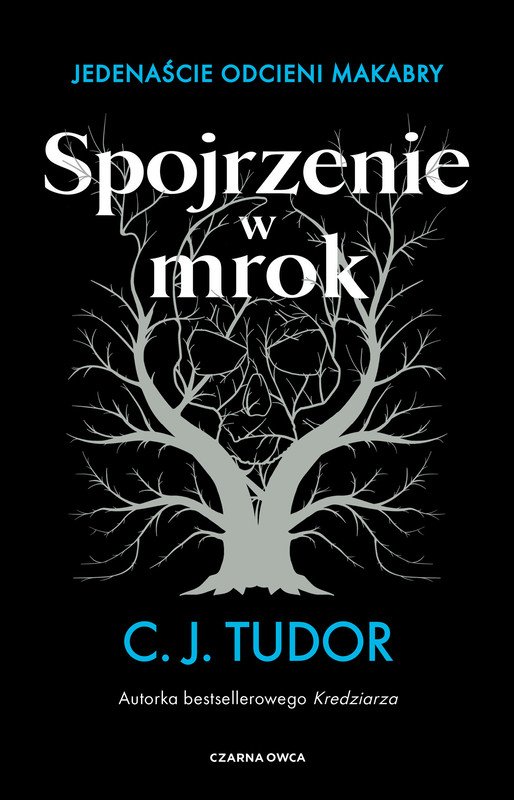 okładka Spojrzenie w mrok ebook | epub, mobi | C.J. Tudor