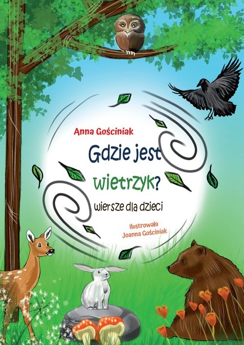 okładka Gdzie jest wietrzyk? książka | Anna Gościniak