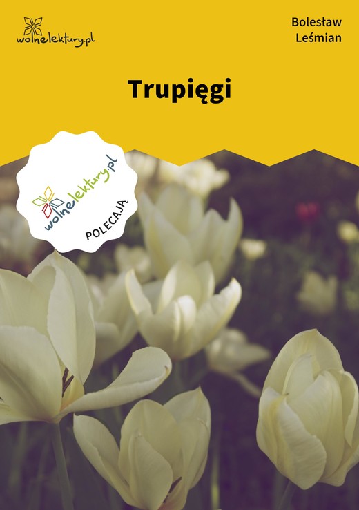 okładka Trupięgi ebook | epub, mobi | Bolesław Leśmian