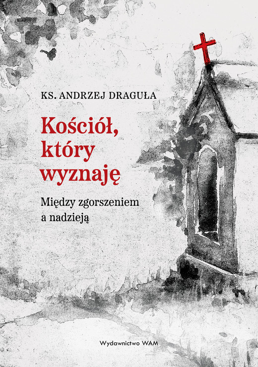 okładka Kościół, który wyznaję ebook | epub, mobi | Andrzej Draguła