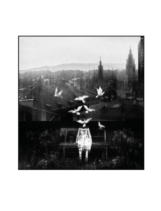 okładka Fabryka papieru ebook | epub, mobi | Piotr Lamprecht