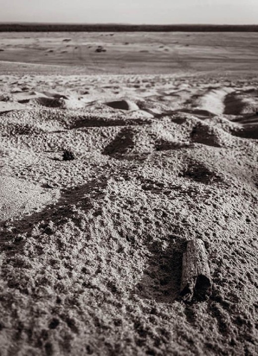 okładka Pustynia ebook | epub, mobi | Sylwia Jaworska