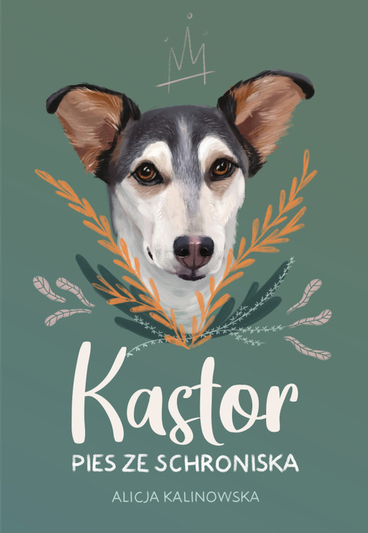 okładka Kastor ebook | epub, mobi | Alicja Kalinowska