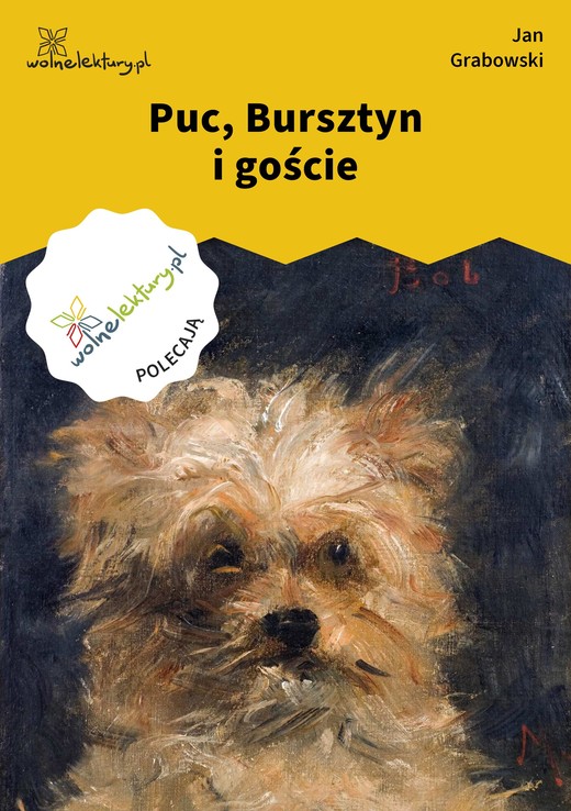 okładka Puc, Bursztyn i goście ebook | epub, mobi | Jan Grabowski