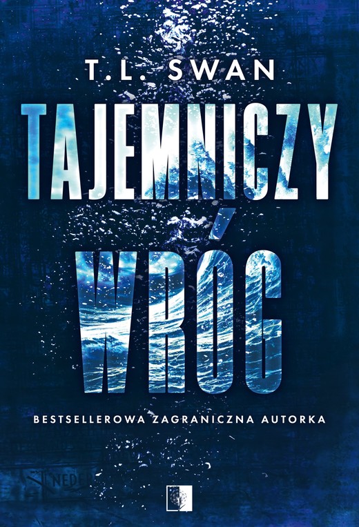 okładka Tajemniczy wróg ebook | epub, mobi | T. L. Swan