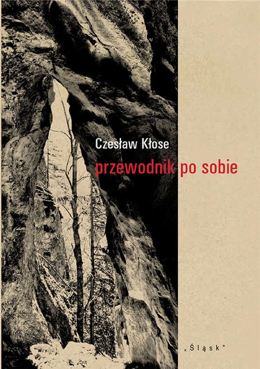 okładka Przewodnik po sobie ebook | pdf | Czesław Kłose