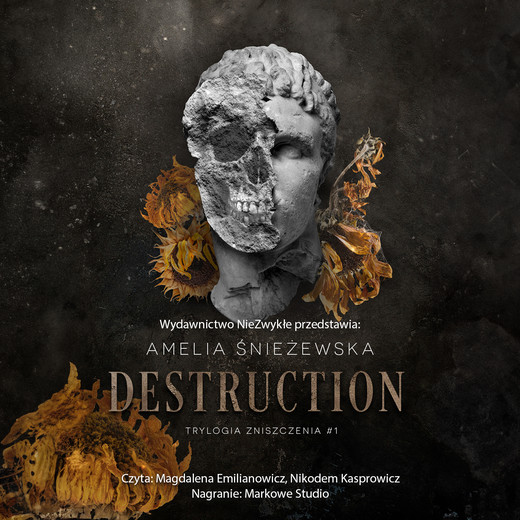 okładka Destruction audiobook | MP3 | Amelia Śnieżewska