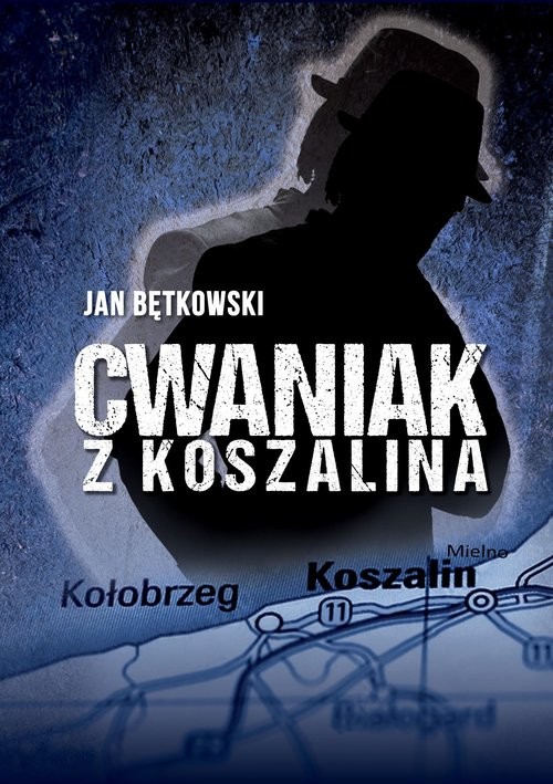 okładka Cwaniak z Koszalina Cwaniak z Koszalina książka