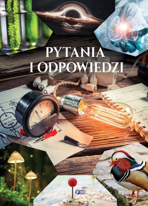 okładka Pytania i odpowiedzi książka | Opracowanie zbiorowe