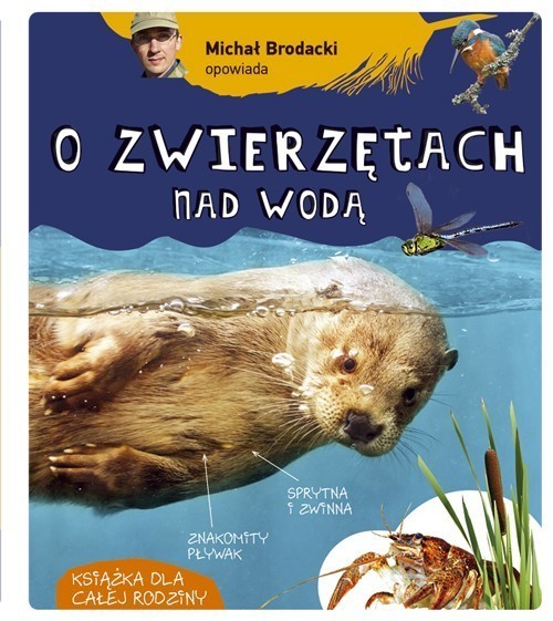 okładka Michał Brodacki opowiada o zwierzętach nad wodą książka | Brodacki Michał