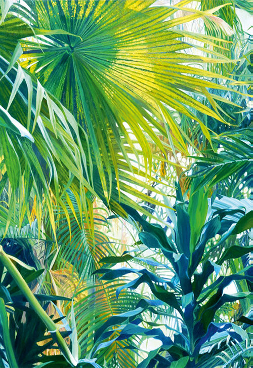 okładka Dobra wiadomość książka