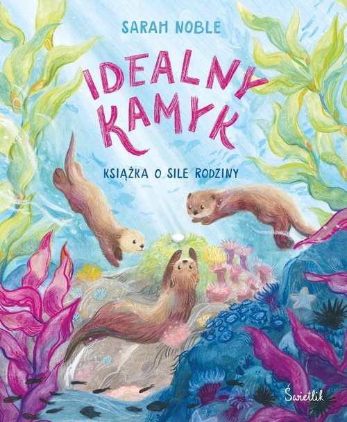 okładka Idealny kamyk. Książka o sile rodziny książka