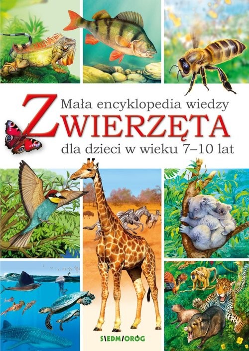 okładka Mała encyklopedia wiedzy Zwierzęta książka | Eryk Chilmon