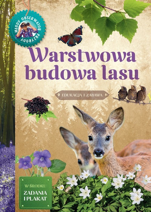 okładka Warstwowa budowa lasu książka