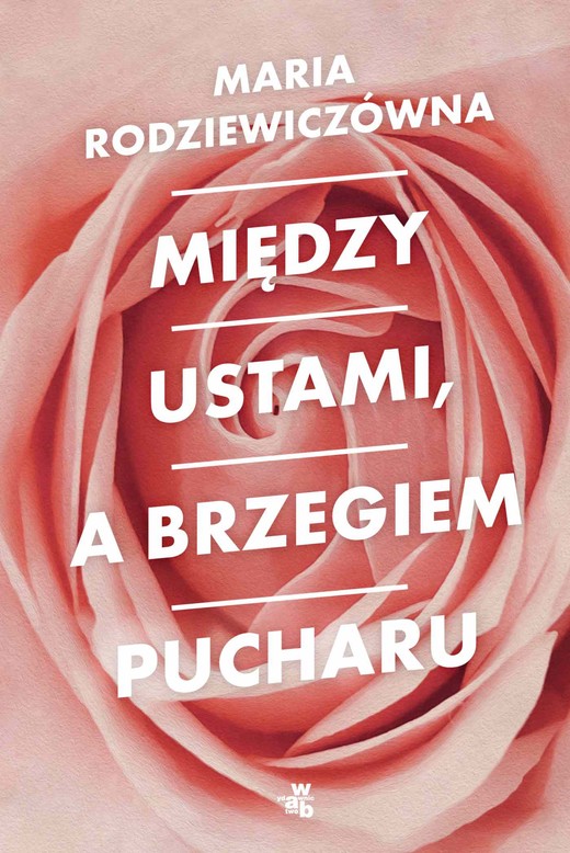okładka Między ustami, a brzegiem pucharu ebook | epub, mobi | Maria Rodziewiczówna