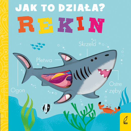 okładka Jak to działa Rekin książka | Molly Littleboy