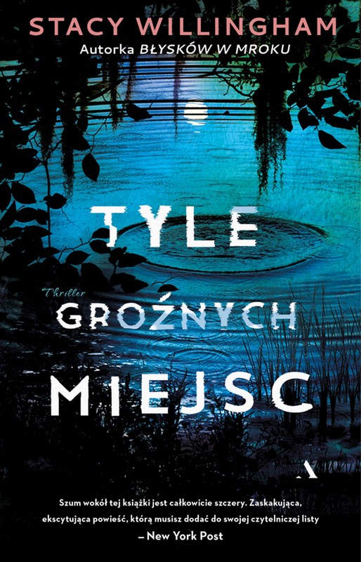 okładka Tyle groźnych miejsc ebook | epub, mobi | Stacy Willingham
