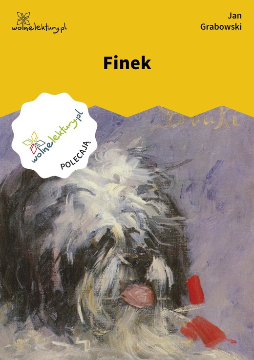 okładka Finek ebook | epub, mobi | Jan Grabowski