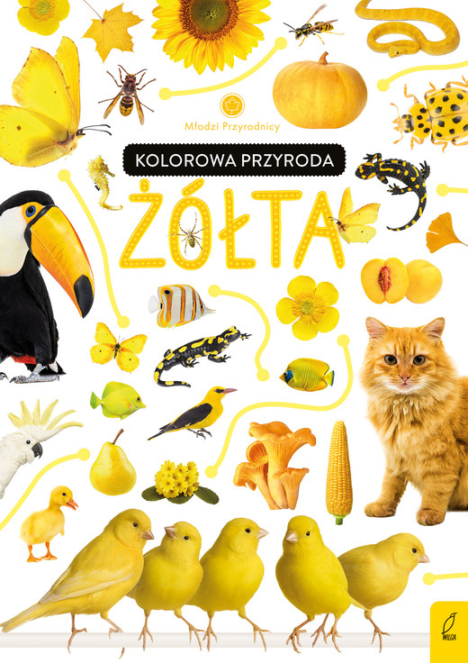 okładka Kolorowa przyroda. Żółta. Młodzi przyrodnicy książka