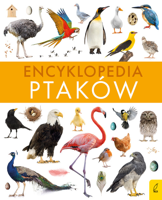 okładka Encyklopedia ptaków książka | Paweł Zalewski