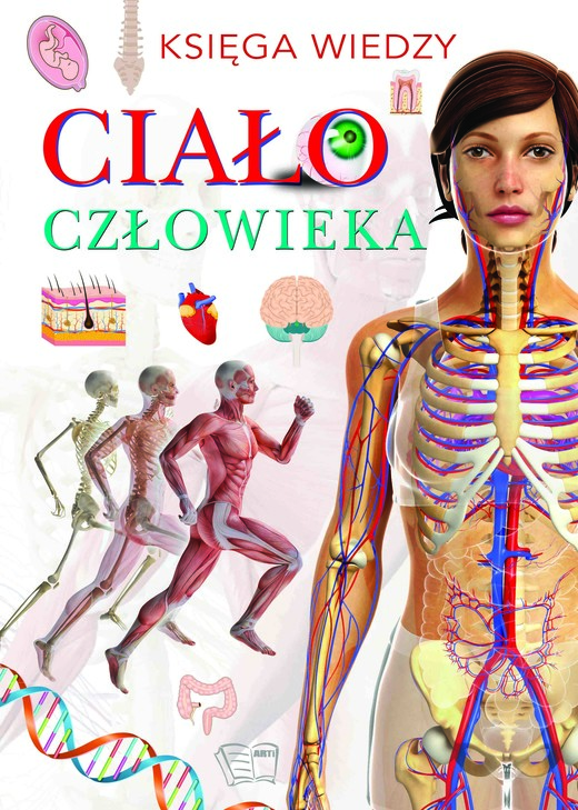 okładka Ciało człowieka książka