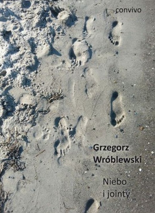 okładka Niebo i jointy książka | Grzegorz Wróblewski