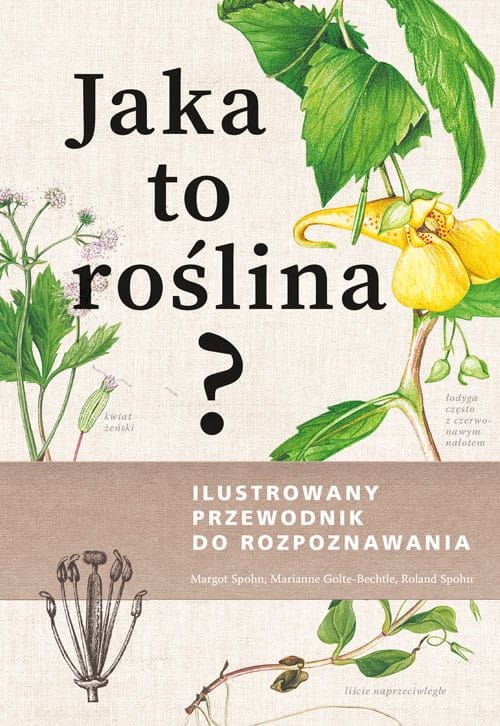 okładka Jaka to roślina? Ilustrowany przewodnik do rozpoznawania książka