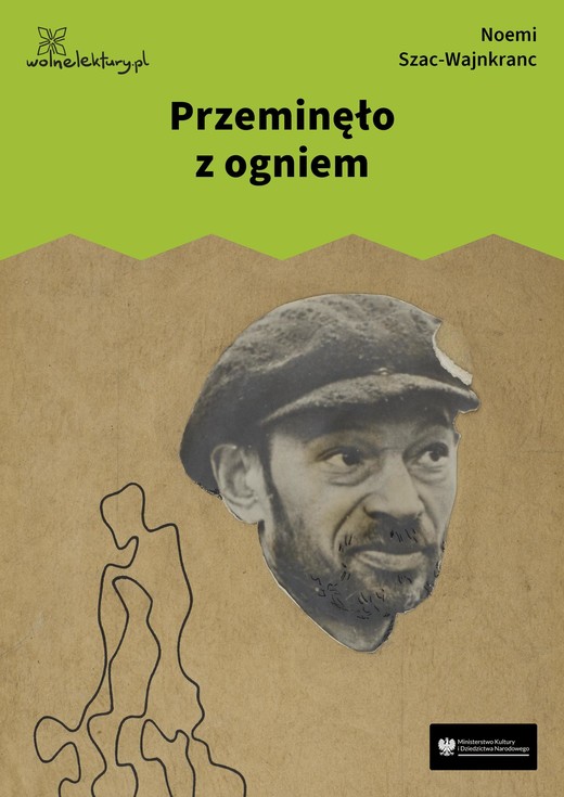 okładka Przeminęło z ogniem ebook | epub, mobi | Noemi Szac-Wajnkranc