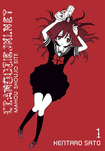 okładka Czarodziejki.net. Tom 1 książka