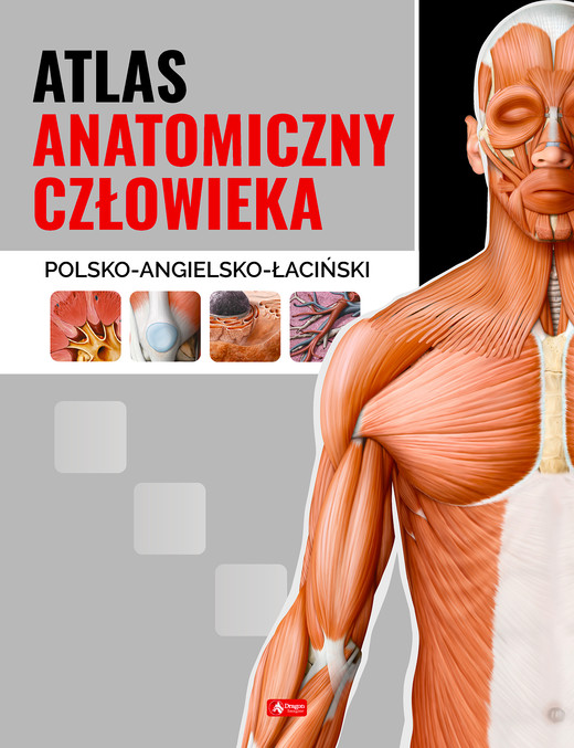 okładka Atlas anatomiczny człowieka książka | Opracowanie zbiorowe