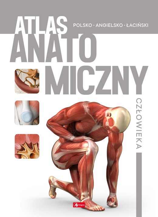 okładka Atlas anatomiczny człowieka książka | Opracowanie zbiorowe