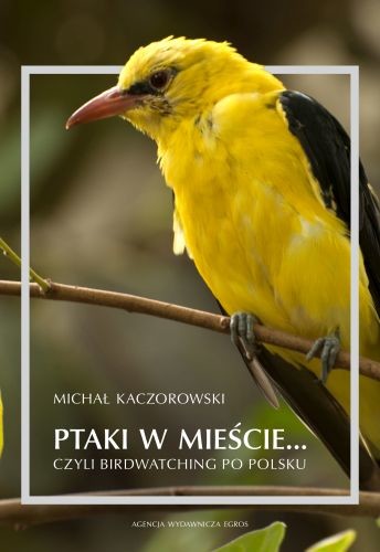 okładka Ptaki w mieście czyli birdwatching po polsku książka | Michał Kaczorowski