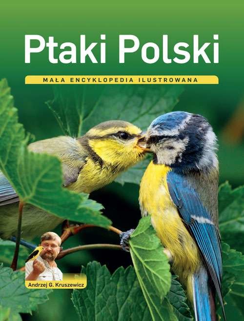 okładka Ptaki polski mała encyklopedia ilustrowana książka | Andrzej Kruszewicz