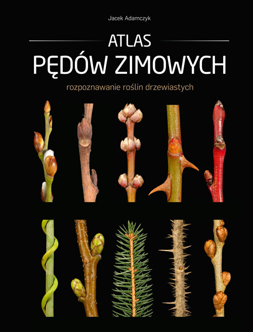 okładka Atlas pędów zimowych książka | Jacek Adamczyk
