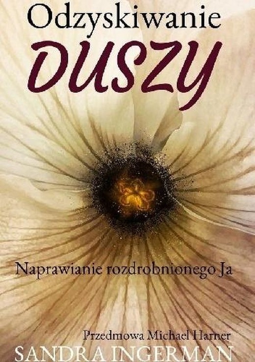 okładka Odzyskiwanie duszy książka | Sandra Ingerman