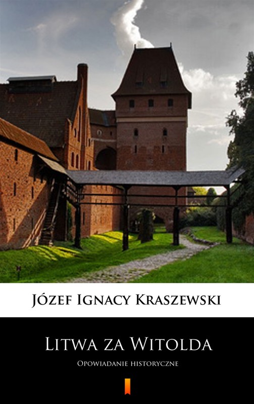 okładka Litwa za Witolda ebook | epub, mobi | Józef Ignacy Kraszewski