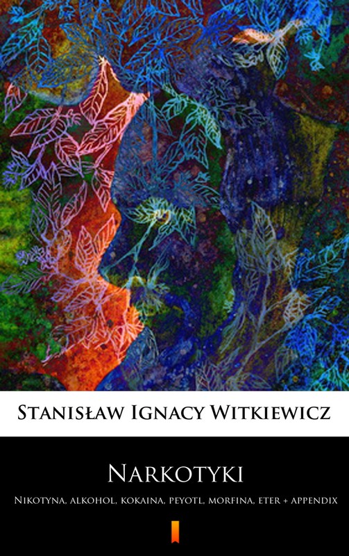 okładka Narkotyki ebook | epub, mobi | Stanisław Ignacy Witkiewicz (Witkacy)