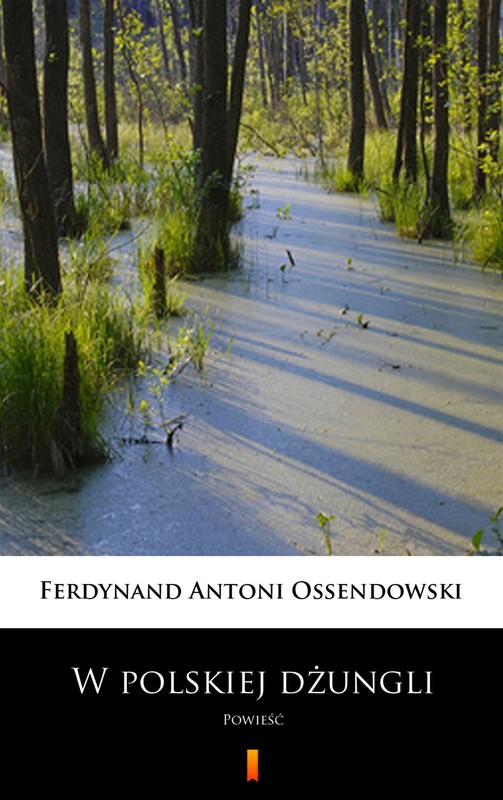 okładka W polskiej dżungli ebook | epub, mobi | Ferdynand Antoni Ossendowski
