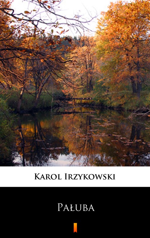okładka Pałuba ebook | epub, mobi | Karol Irzykowski