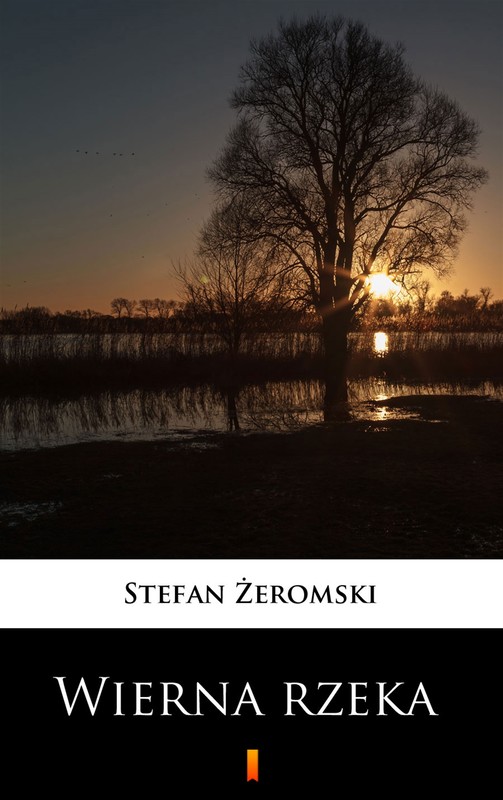 okładka Wierna rzeka ebook | epub, mobi | Stefan Żeromski