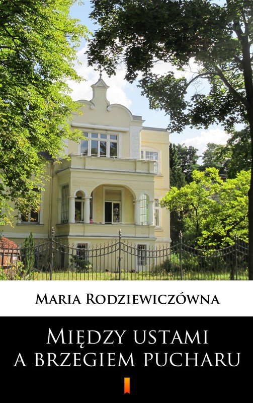 okładka Między ustami a brzegiem pucharu ebook | epub, mobi | Maria Rodziewiczówna
