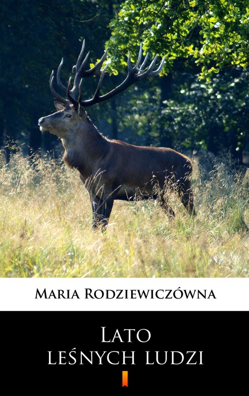 okładka Lato leśnych ludzi ebook | epub, mobi | Maria Rodziewiczówna