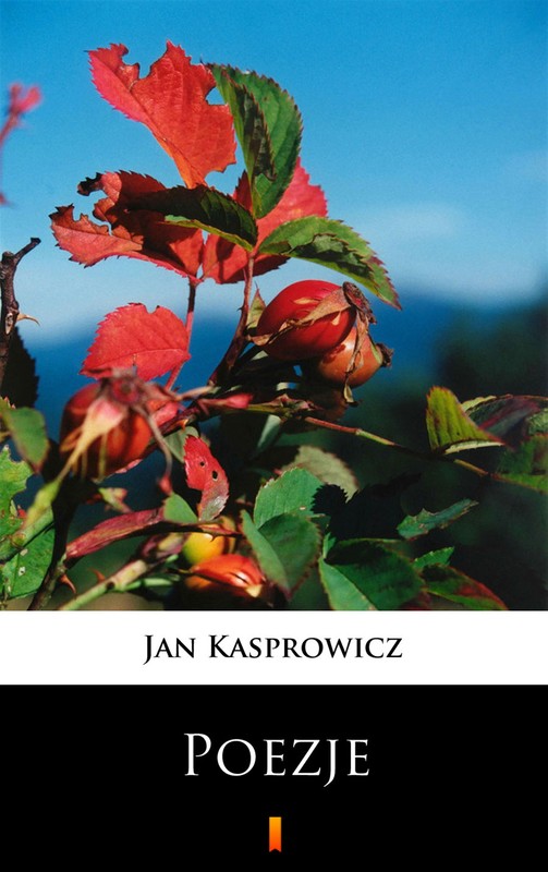 okładka Poezje ebook | epub, mobi | Jan Kasprowicz