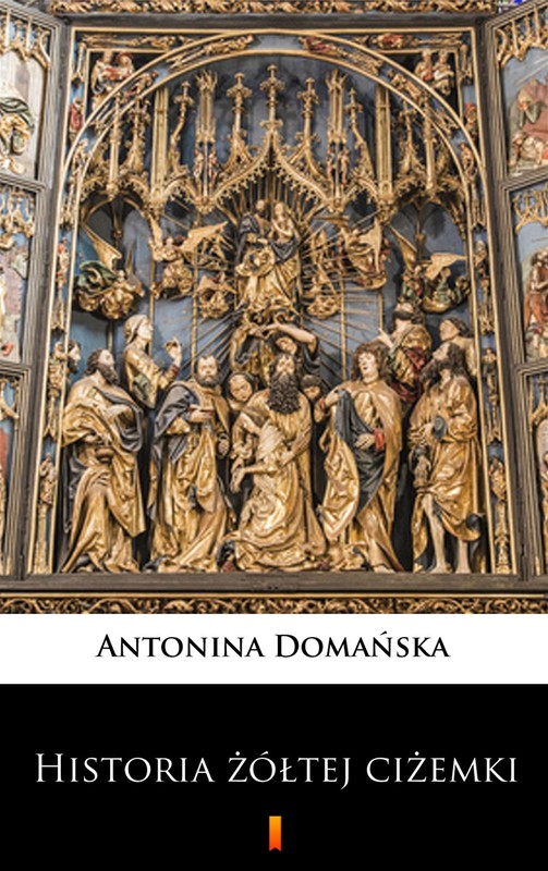 okładka Historia żółtej ciżemki ebook | epub, mobi | Antonina Domańska