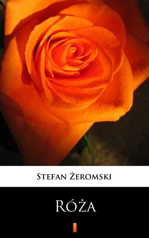 okładka Róża ebook | epub, mobi | Stefan Żeromski