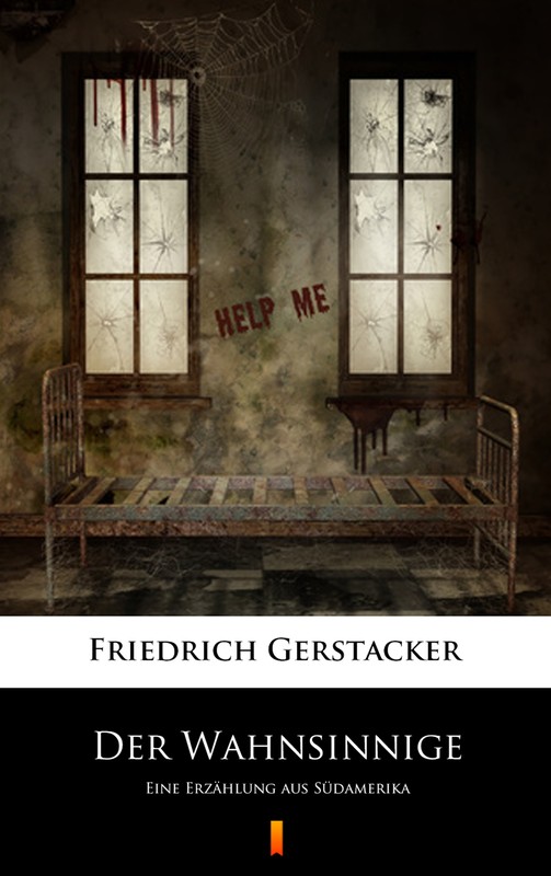 okładka Der Wahnsinnige ebook | epub, mobi | Friedrich Gerstäcker