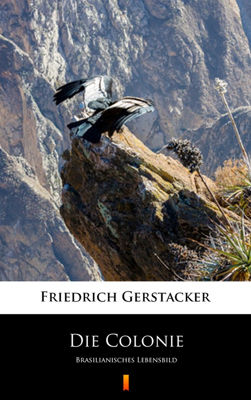 okładka Die Colonie ebook | epub, mobi | Friedrich Gerstäcker