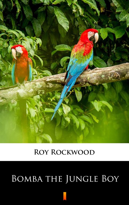 okładka Bomba the Jungle Boy ebook | epub, mobi | Roy Rockwood