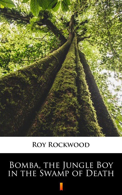 okładka Bomba, the Jungle Boy in the Swamp of Death ebook | epub, mobi | Roy Rockwood