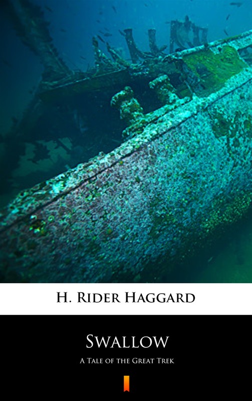 okładka Swallow ebook | epub, mobi | Henry Rider Haggard